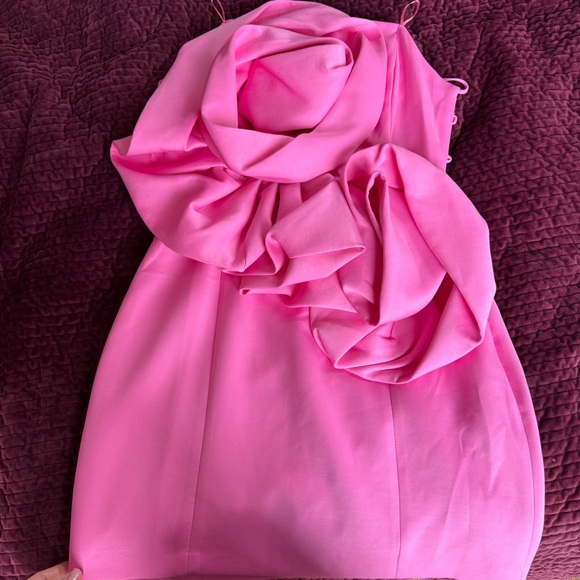 Pink Ruffle Detail Mini Dress - Picture 2 of 4